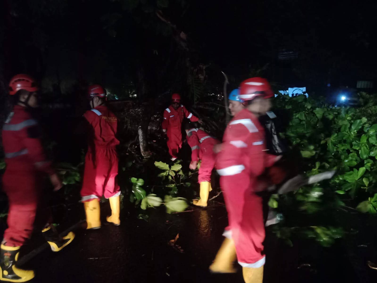Pemerintah Kabupaten Sukabumi Gerak Cepat Tangani Pohon Tumbang Di Jalur Nasional Palabuhanratu-Banten